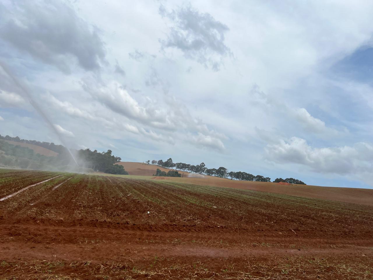 Fazenda à venda, 217m² - Foto 1