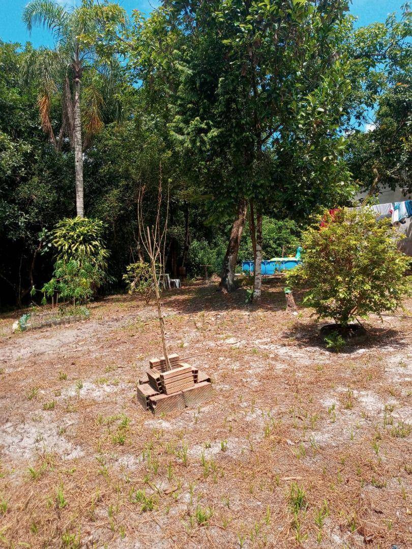 Chácara, 4 quartos, 3000 m² - Foto 2