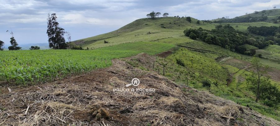 Sítio, 7 hectares - Foto 9