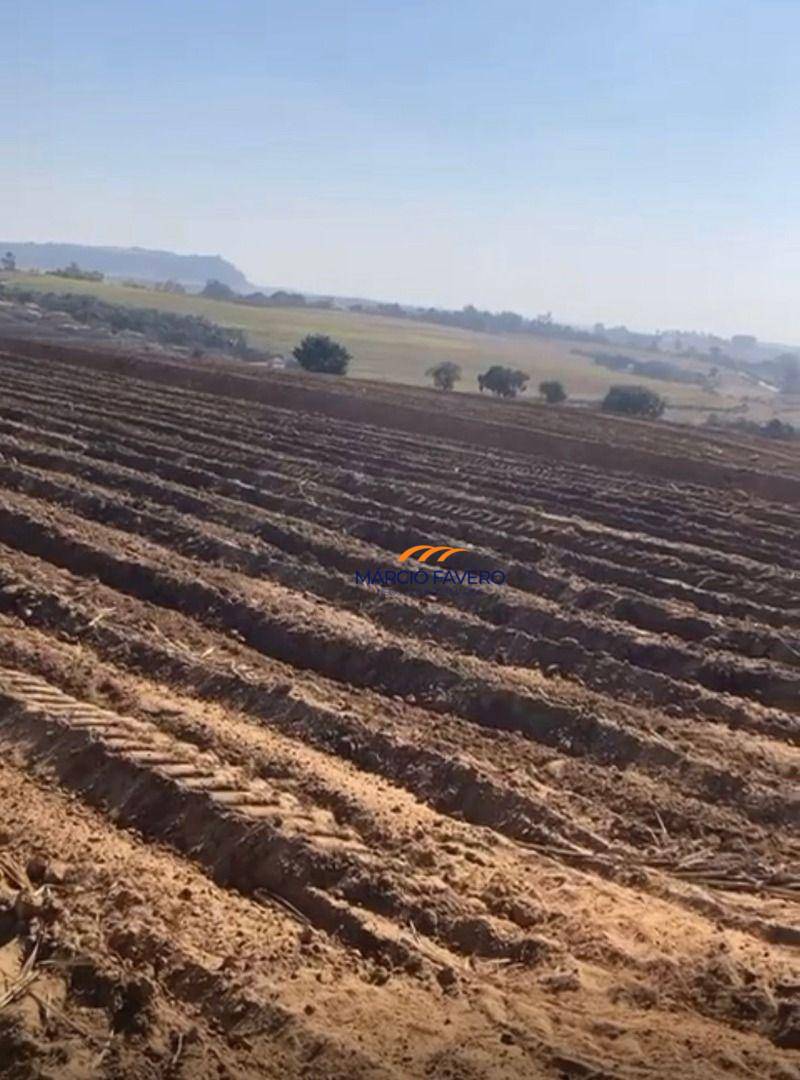 Sítio, 46 hectares - Foto 2