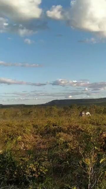 Fazenda à venda com 1 quarto, 17800000M2 - Foto 19