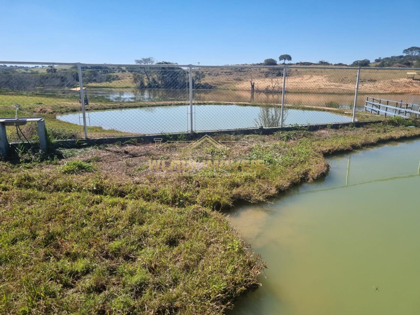 Fazenda à venda, 600m² - Foto 6