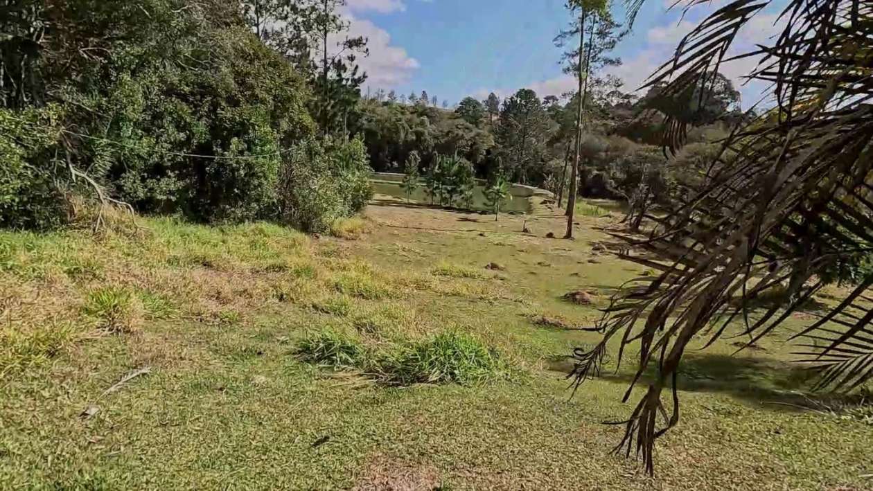Sítio à venda com 3 quartos, 24000m² - Foto 33