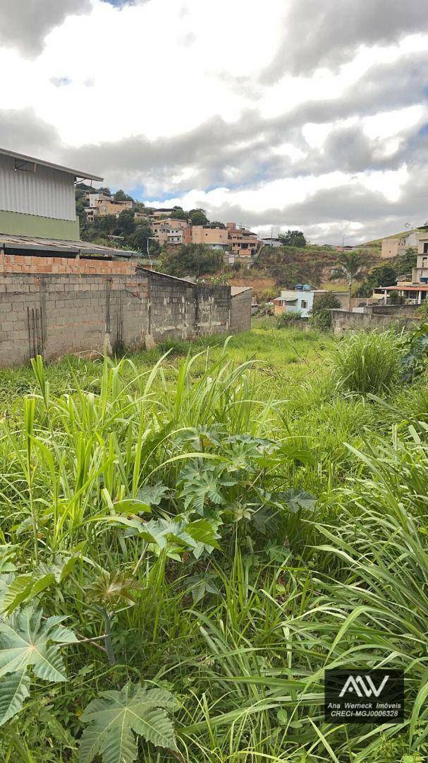 Terreno à venda, 300M2 - Foto 3