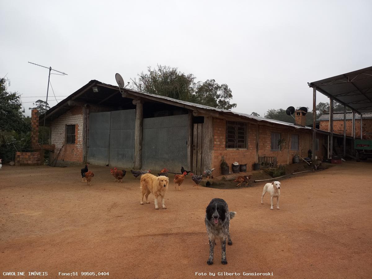 Sítio à venda com 3 quartos, 586000m² - Foto 5