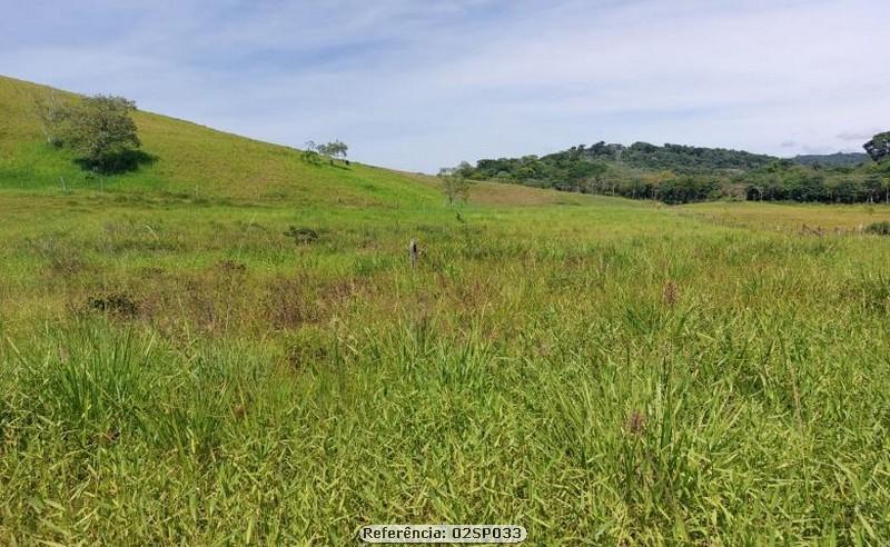 Fazenda à venda com 1 quarto, 80000m² - Foto 5