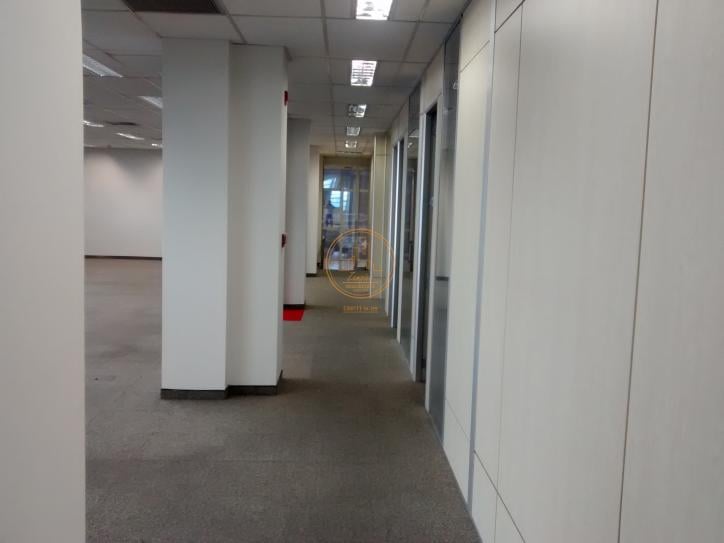 Prédio Inteiro para alugar, 568m² - Foto 4