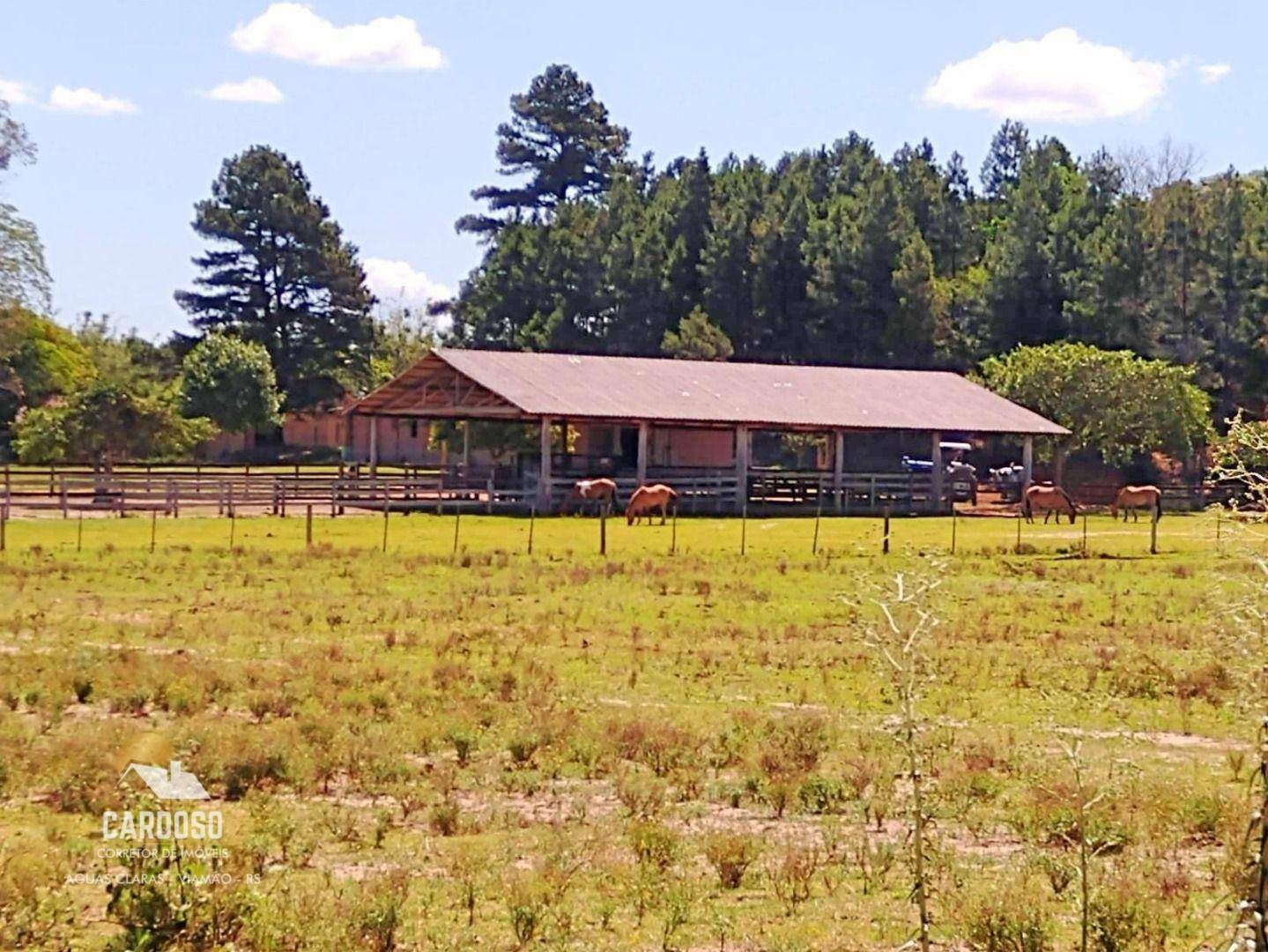 Fazenda à venda, 3160000M2 - Foto 11