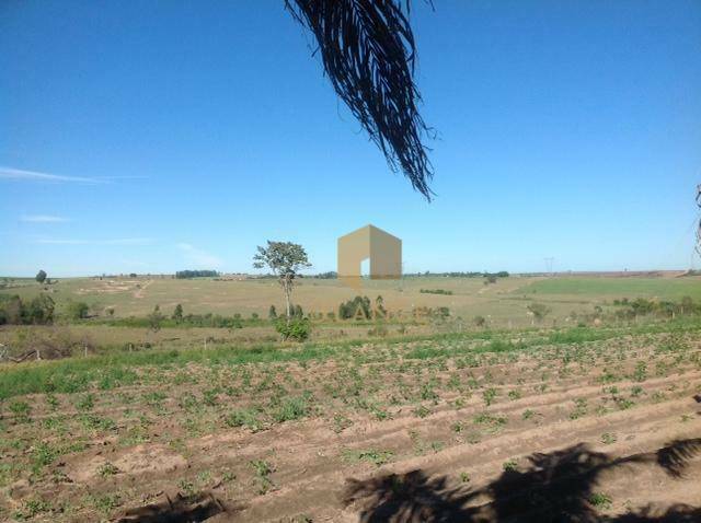 Fazenda à venda com 5 quartos, 1273000M2 - Foto 7