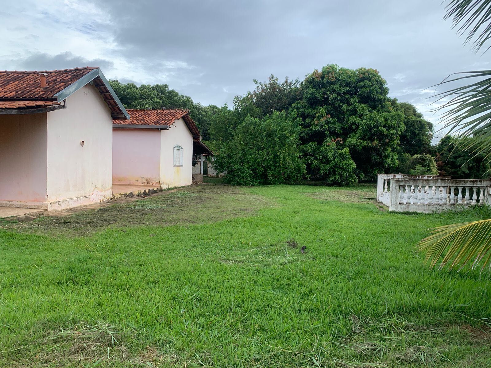 Fazenda à venda com 4 quartos, 5000m² - Foto 10