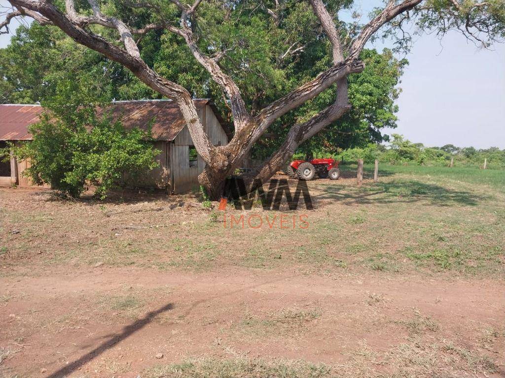 Fazenda, 4306 hectares - Foto 11