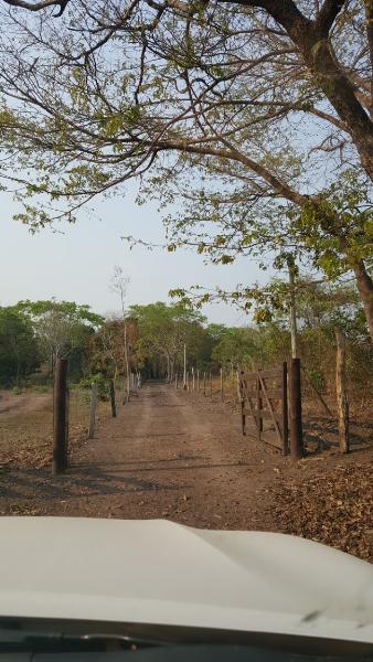 Fazenda à venda - Foto 43