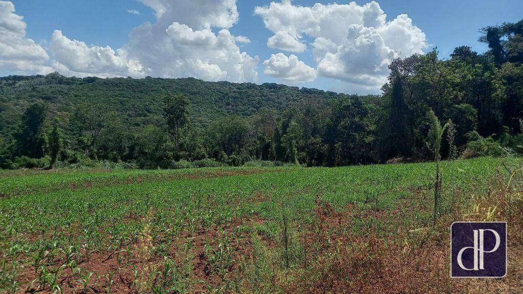 Terreno à venda, 121000M2 - Foto 1