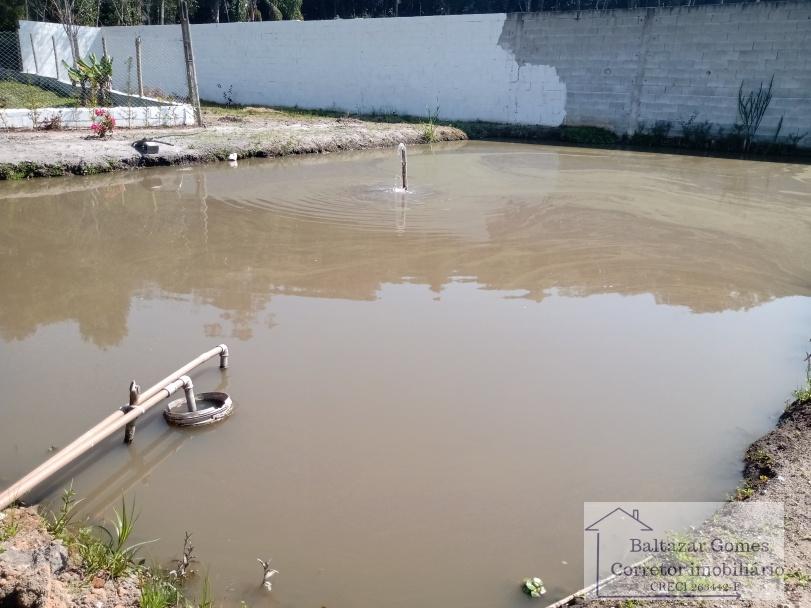 Fazenda à venda com 3 quartos, 2000m² - Foto 6