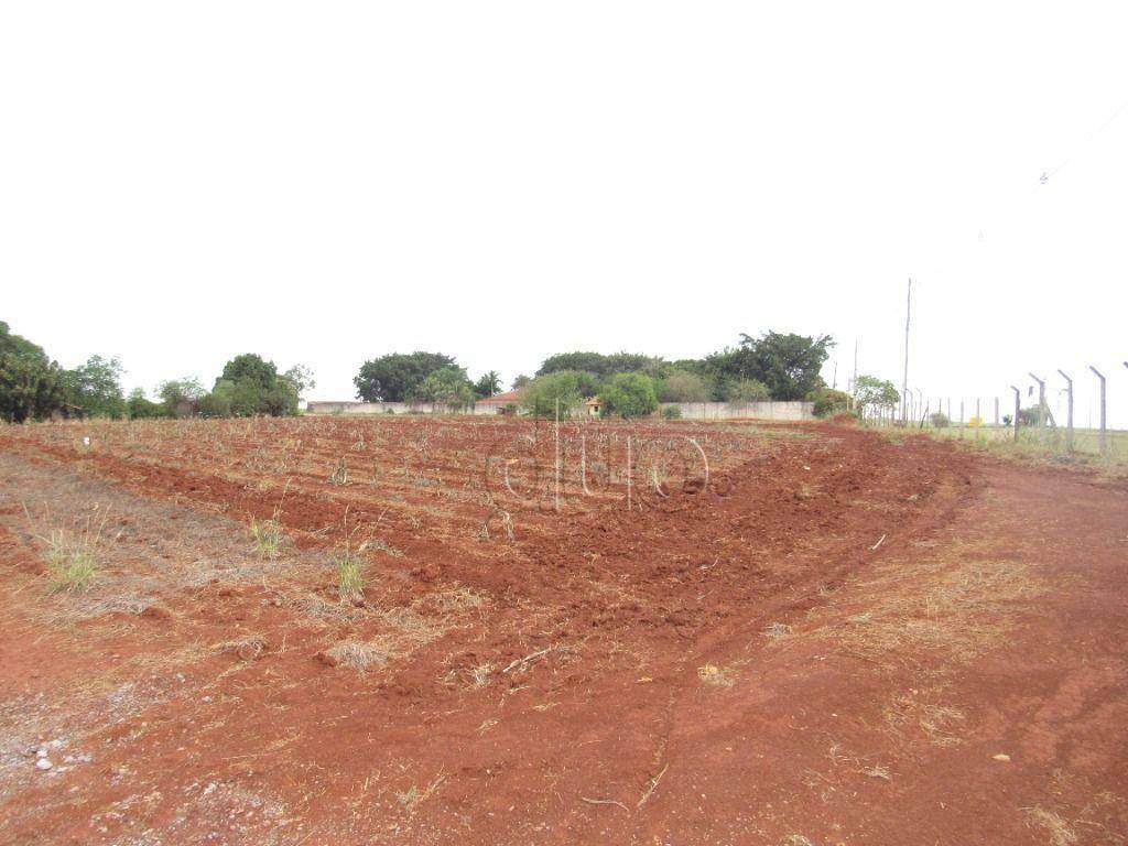 Terreno para alugar, 24200M2 - Foto 18