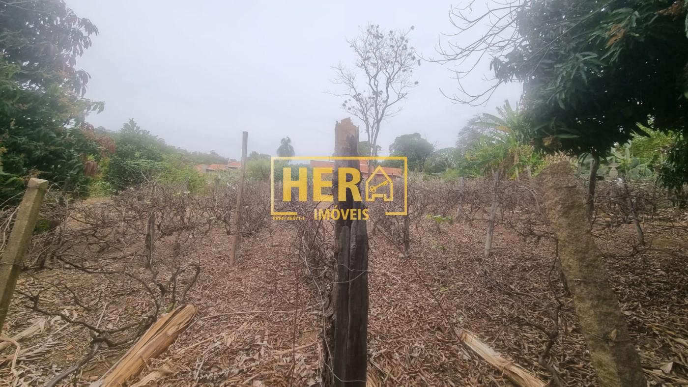 Chácara à venda com 2 quartos, 242m² - Foto 4