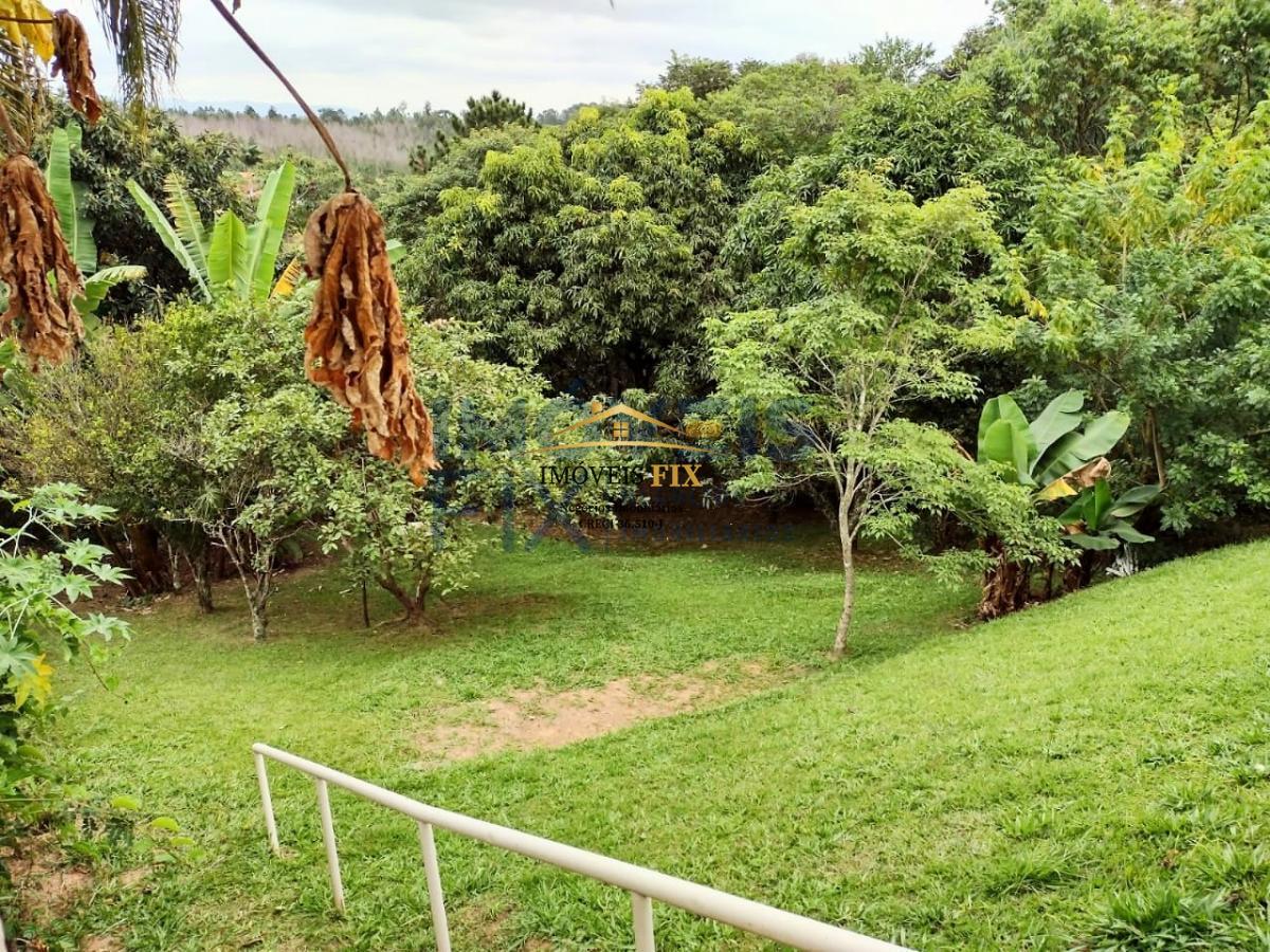 Fazenda à venda com 3 quartos, 230m² - Foto 6