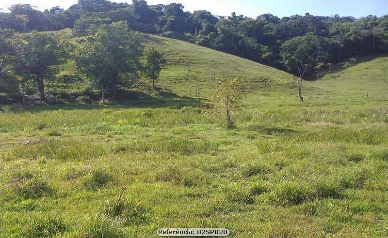 Fazenda à venda com 2 quartos, 240000m² - Foto 13