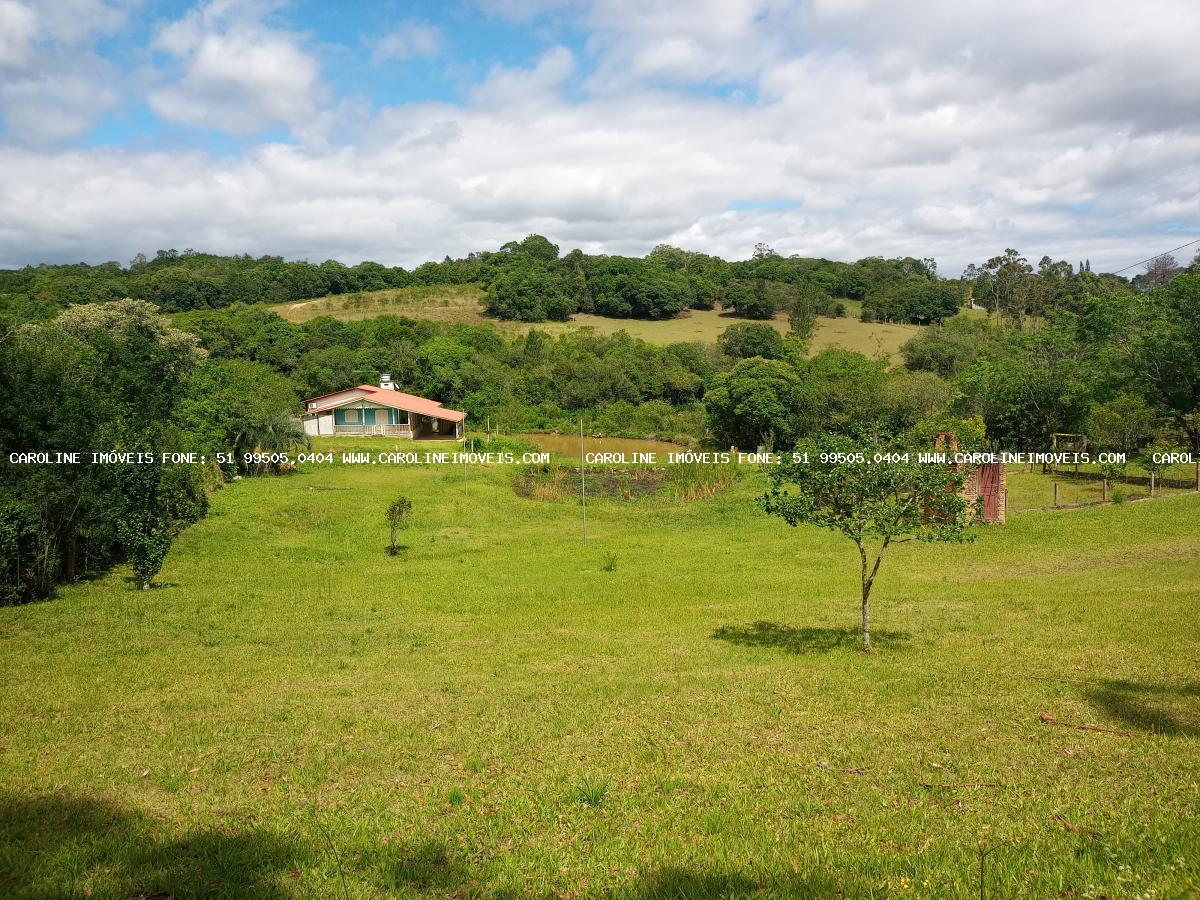 Fazenda à venda com 3 quartos, 29000m² - Foto 7