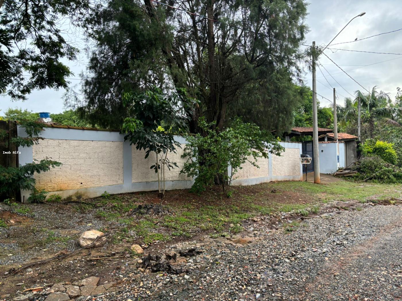 Fazenda à venda com 3 quartos, 1000m² - Foto 5