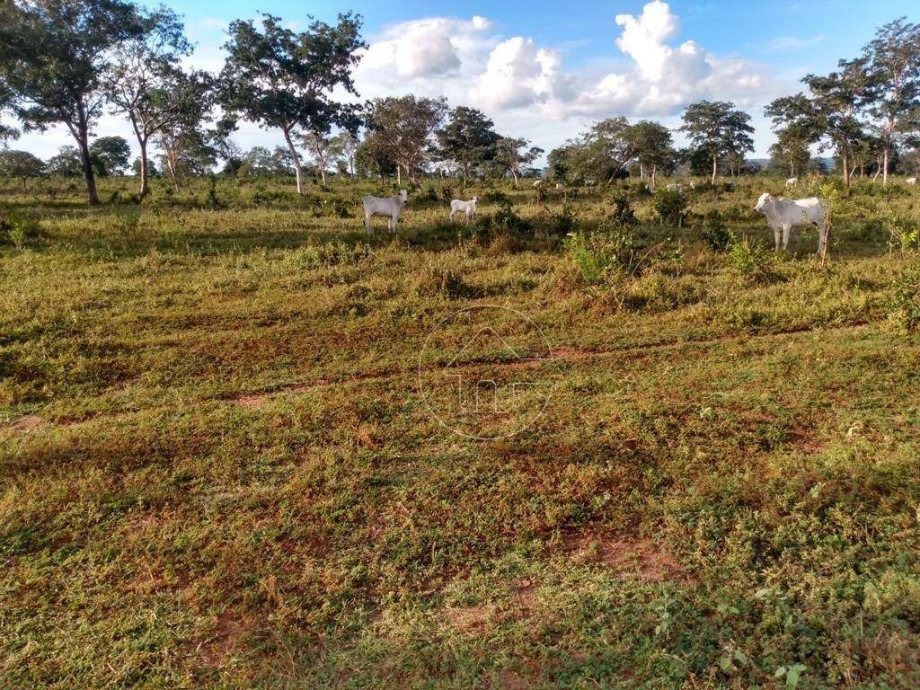 Fazenda à venda, 9873600M2 - Foto 7