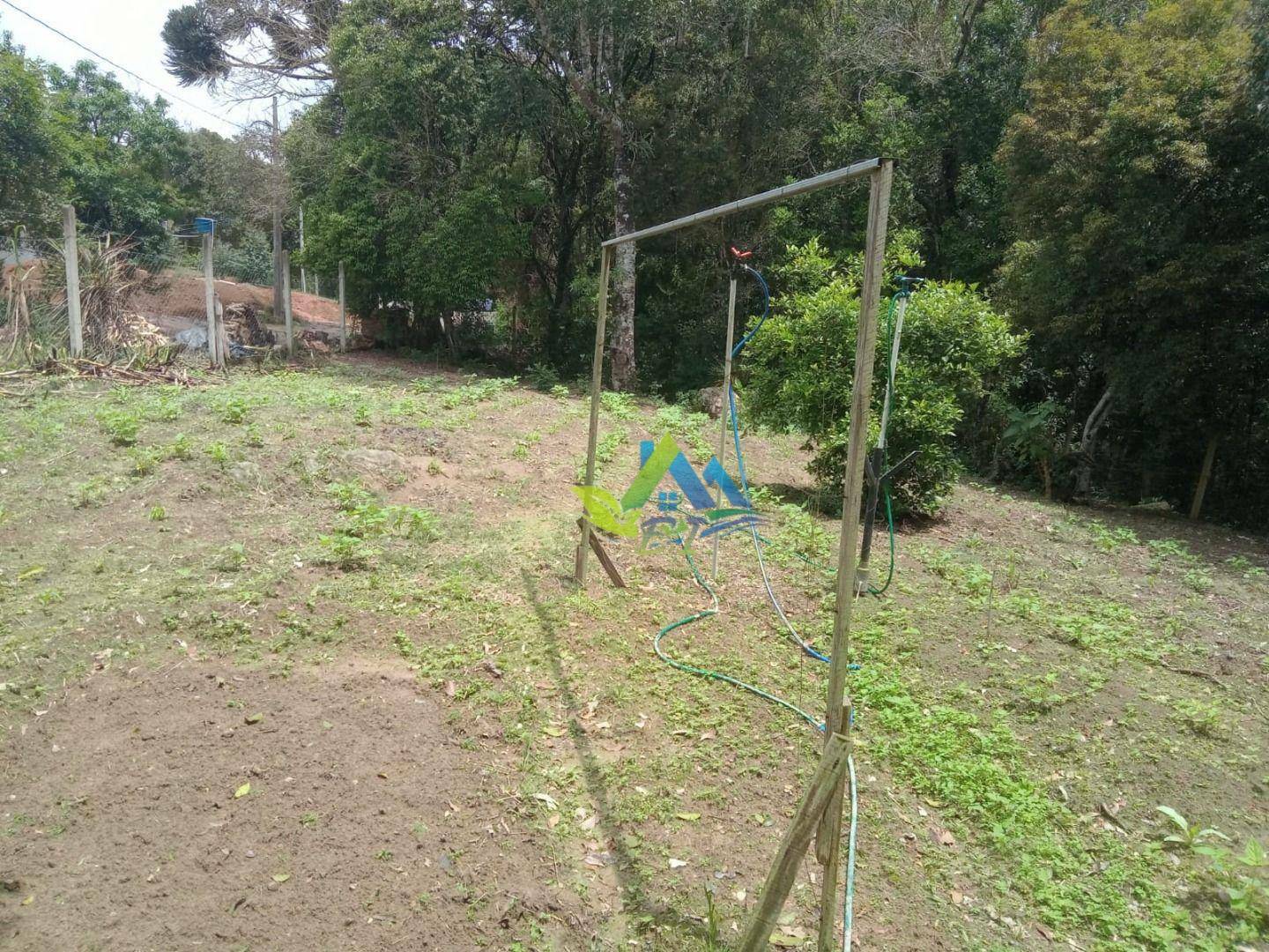 Sítio à venda com 2 quartos, 8697M2 - Foto 26