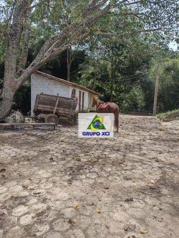 Fazenda à venda com 9 quartos, 1403600M2 - Foto 3