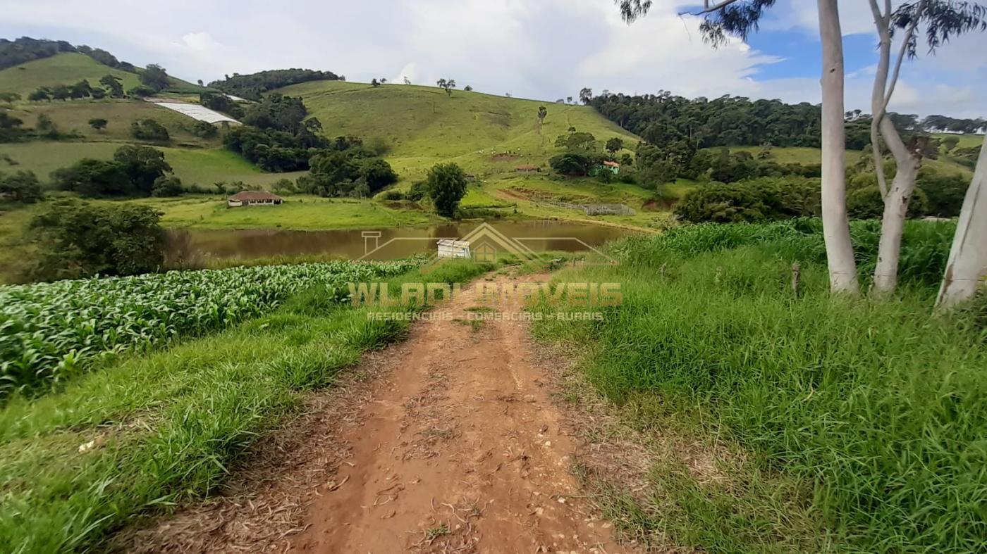 Fazenda à venda, 13m² - Foto 11