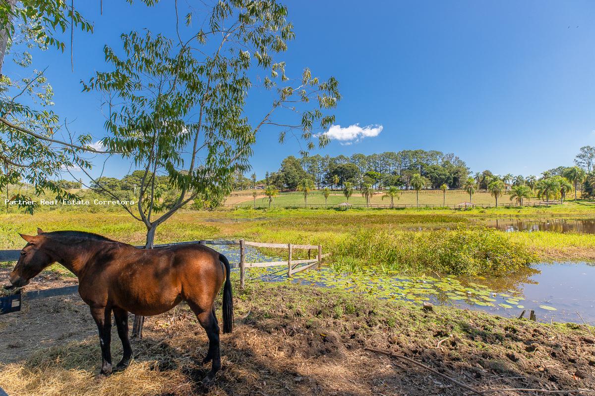 Fazenda à venda com 3 quartos, 133100m² - Foto 19