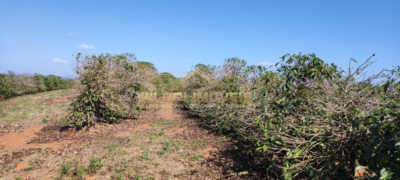 Sítio, 10 m² - Foto 15