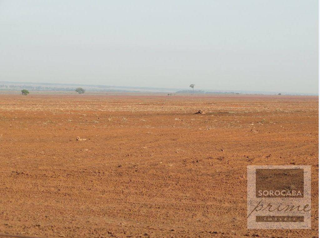 Fazenda-Sítio-Chácara, 89000 hectares - Foto 2