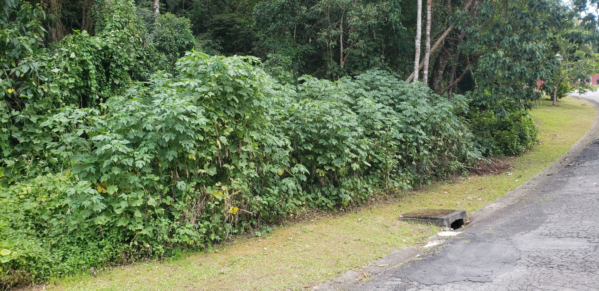 Loteamento e Condomínio à venda, 1020M2 - Foto 3