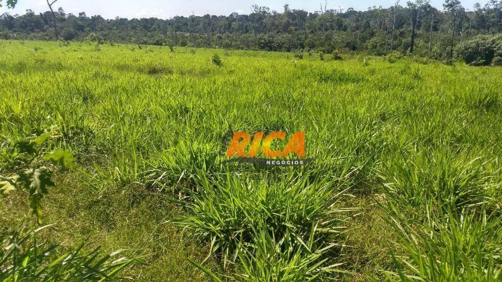 Fazenda à venda com 1 quarto, 4600000M2 - Foto 6