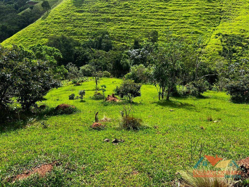 Chácara à venda, 1m² - Foto 4