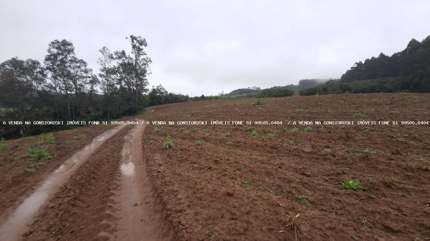 Sítio à venda com 2 quartos, 141000m² - Foto 15