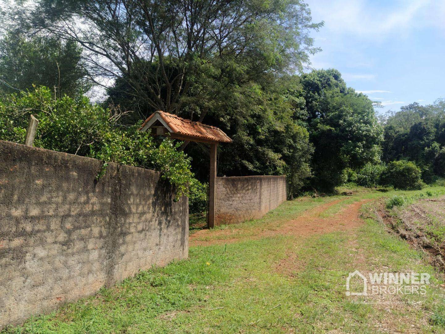 Chácara à venda com 3 quartos, 20000M2 - Foto 31