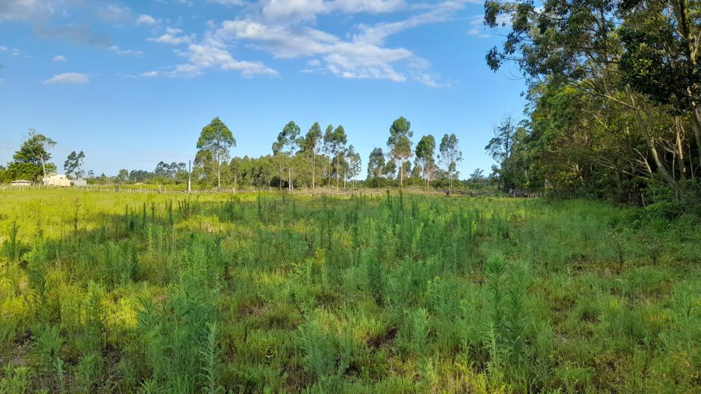 Terreno à venda, 3092m² - Foto 1