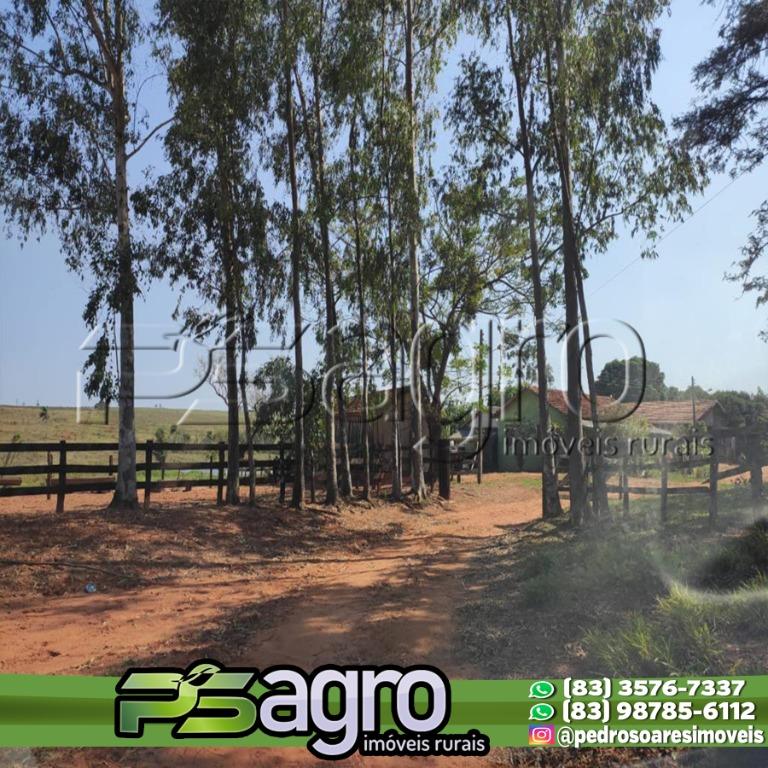 Fazenda à venda, 29669200M2 - Foto 4