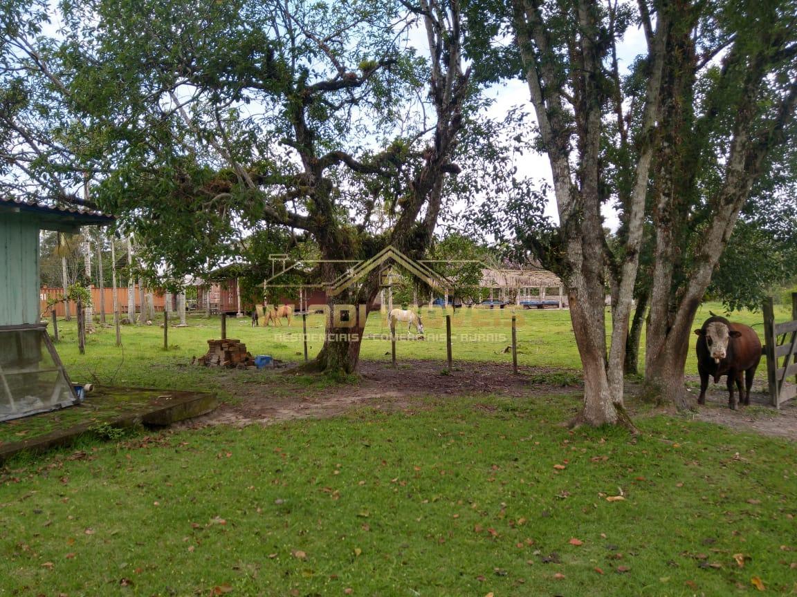 Fazenda à venda, 620m² - Foto 8