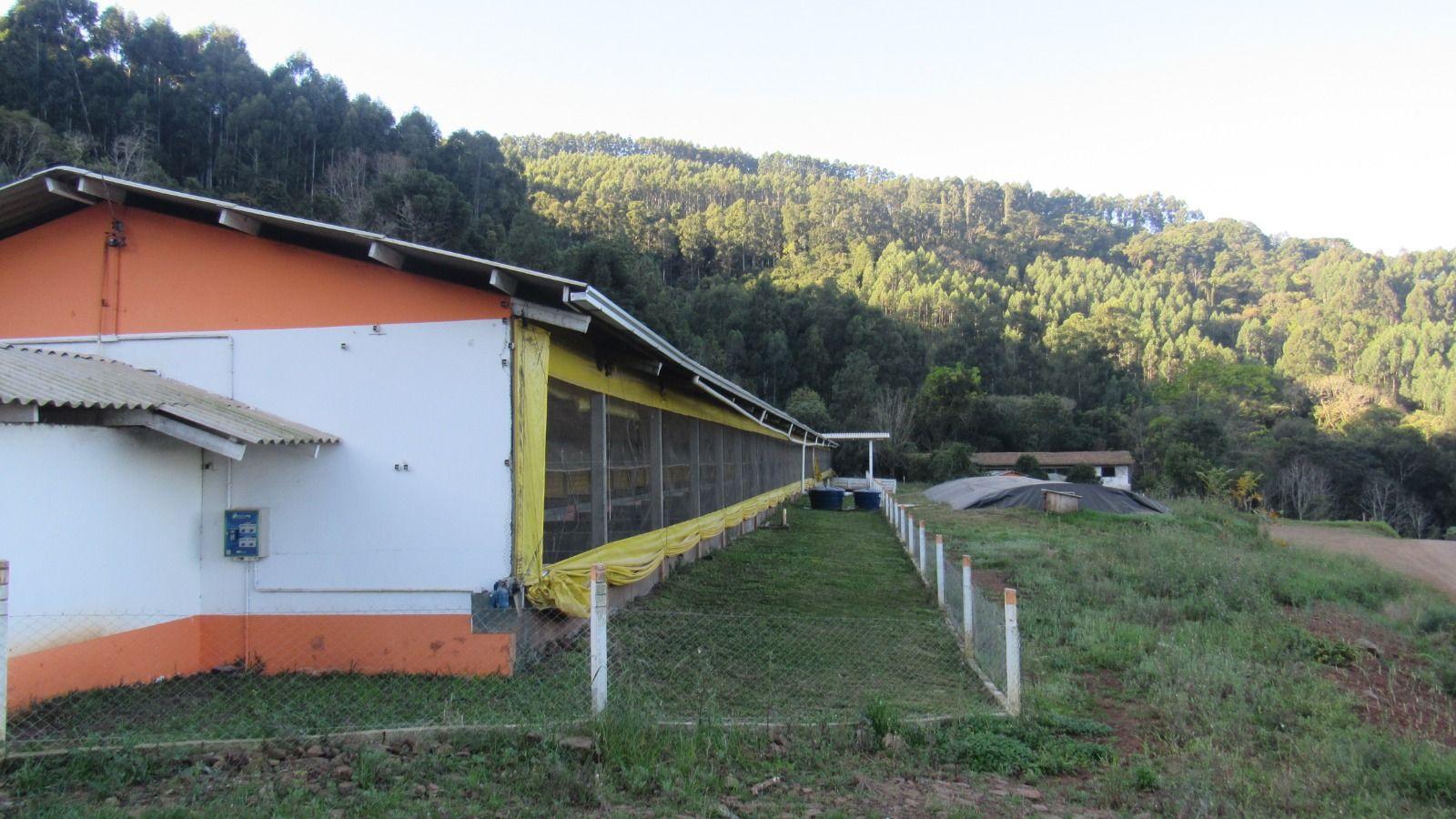 Fazenda à venda, 520000m² - Foto 27