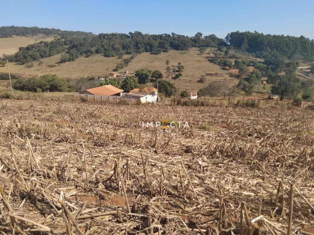 Terreno à venda, 10000M2 - Foto 5