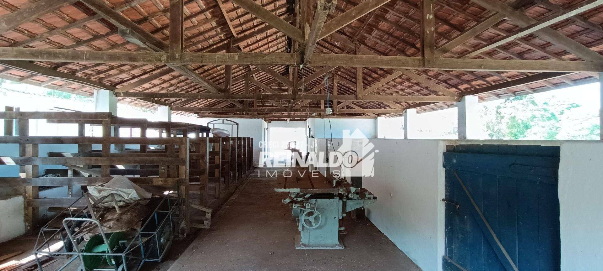 Haras e Área Rural Padrão à venda com 16 quartos, 2500m² - Foto 169