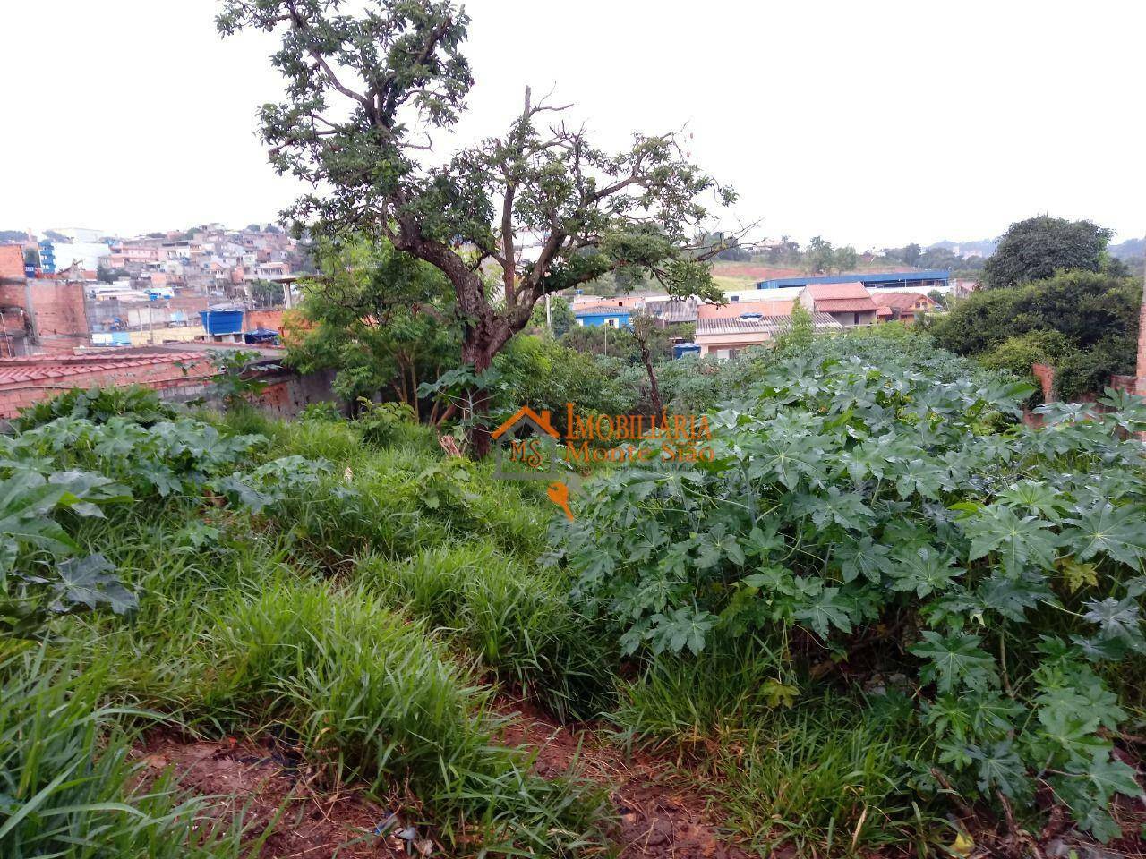 Terreno à venda, 400M2 - Foto 3