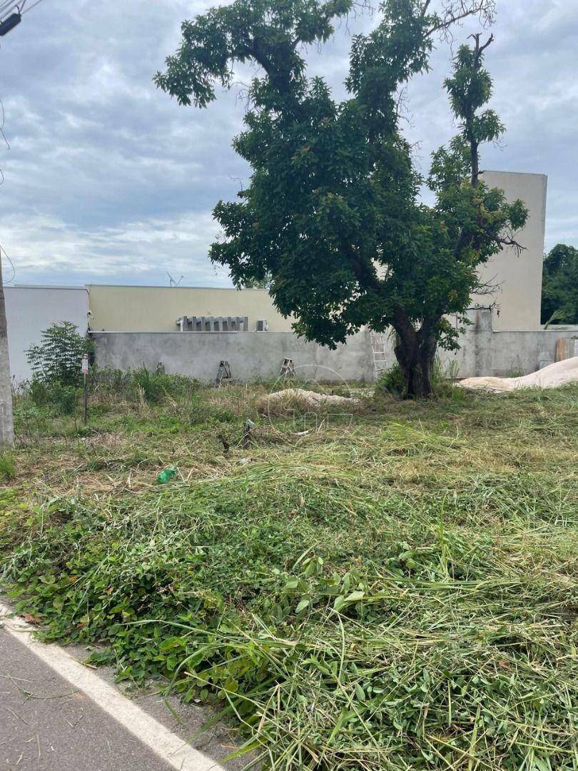 Terreno à venda, 288M2 - Foto 3
