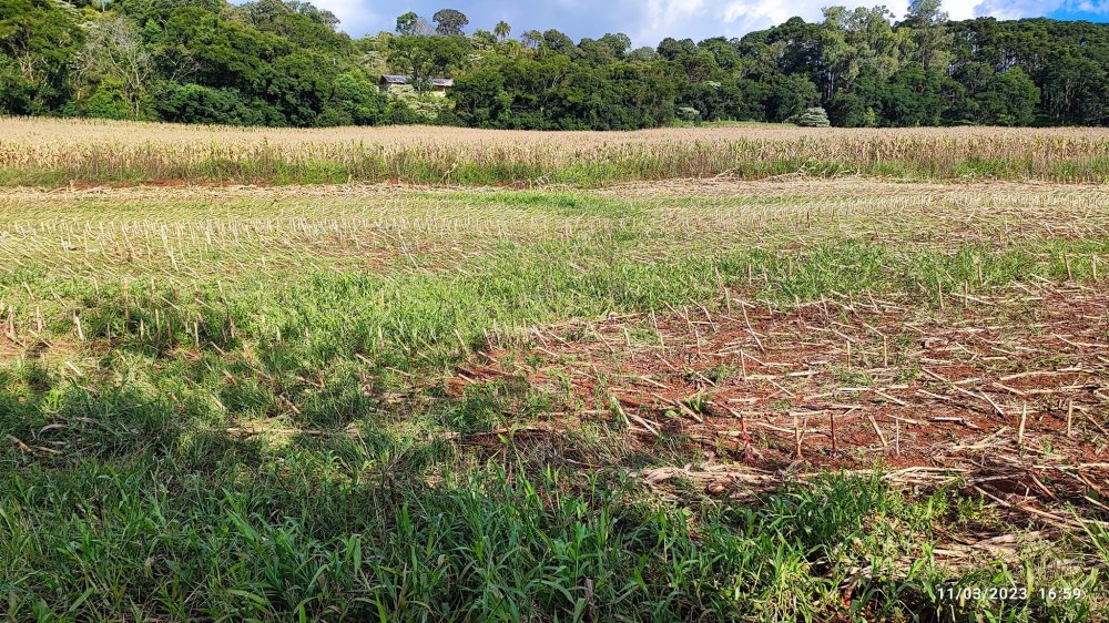 Fazenda à venda com 3 quartos, 6m² - Foto 2