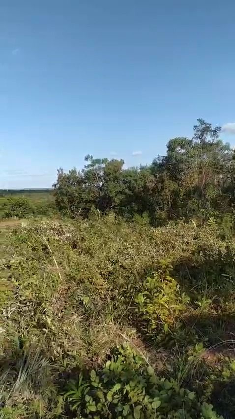 Fazenda à venda com 1 quarto, 17800000M2 - Foto 9