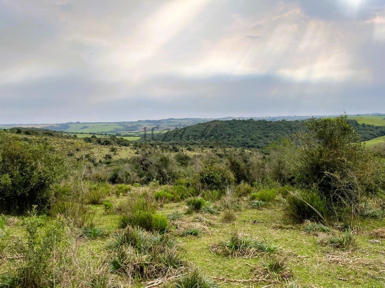 Fazenda à venda, 386m² - Foto 12