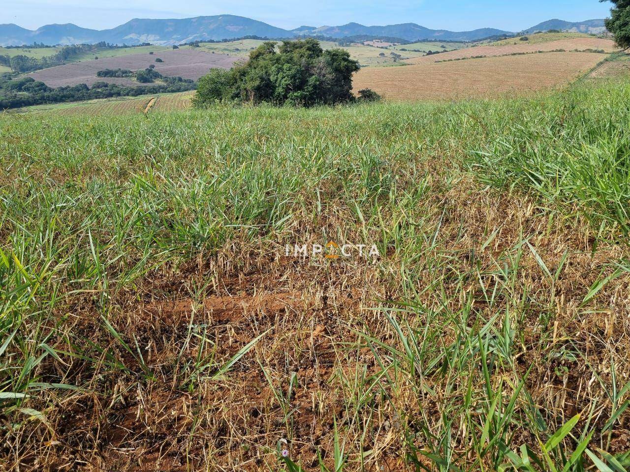 Terreno à venda, 1597200M2 - Foto 26