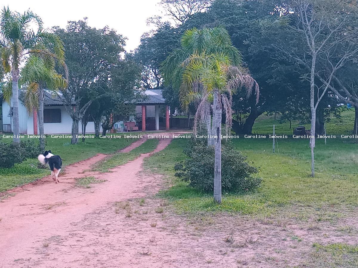 Fazenda à venda com 3 quartos, 23m² - Foto 20