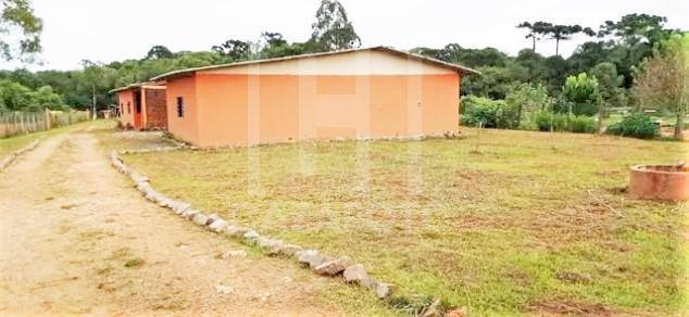 Chácara à venda com 3 quartos, 5000m² - Foto 2